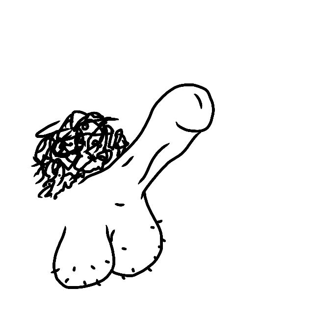 A penis.