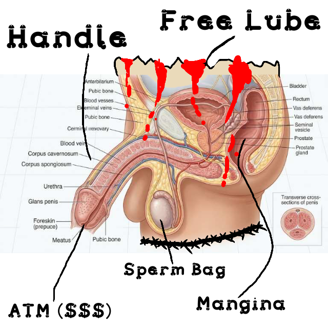 “Real Biology”, a drawing by barnacules