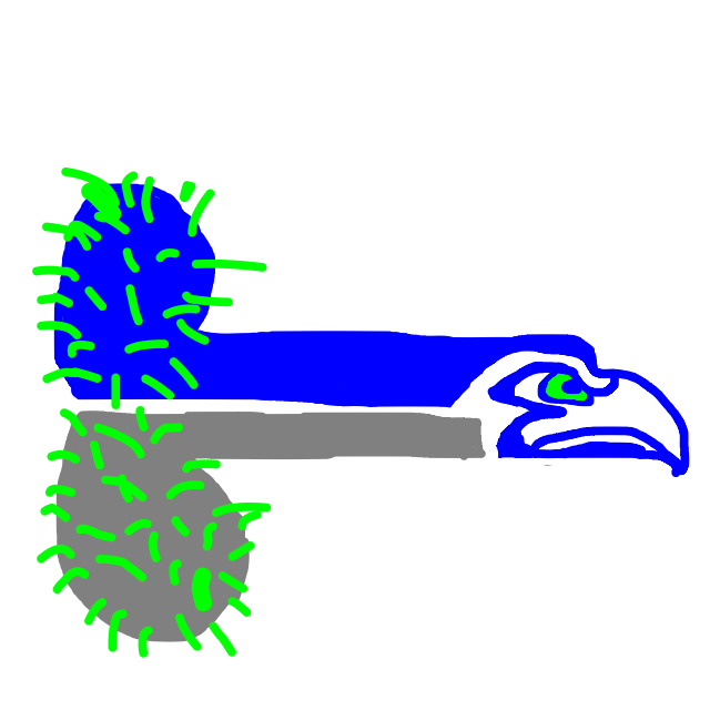 SeaCawk