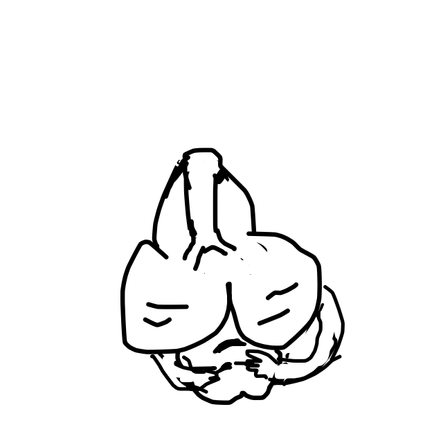 Peek-a-cawk